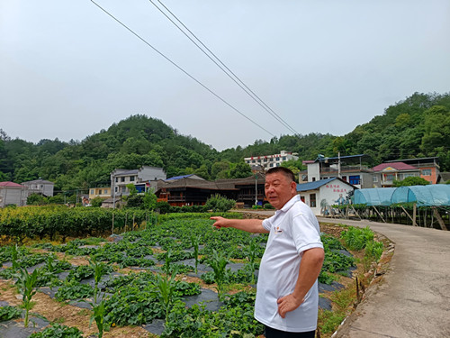 IMG_20250607_105406_副本.jpg