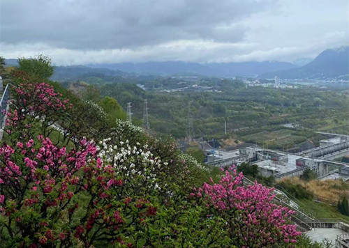 1743397776991228.jpg 微信图片_20250331130027_副本.jpg