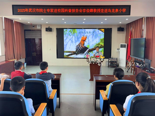 1748588914456502.jpg 图片2.jpg