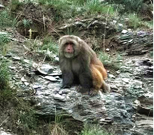 1754479434549641.jpg QQ20250806-192229_副本.jpg
