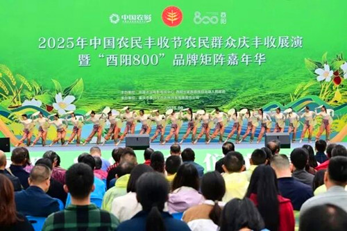 1769262906102074.jpg 图片1(2)_副本.jpg