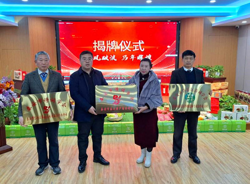 1770605459144539.jpg 图片5.jpg
