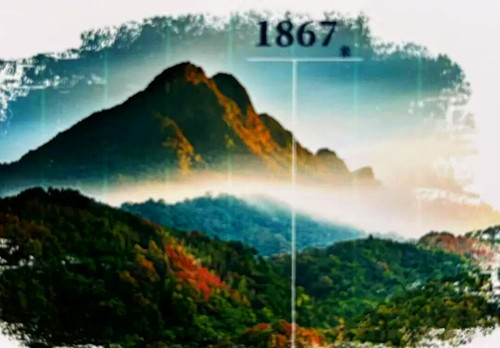 1770874729147017.jpg 图片4_副本.jpg