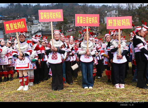 1771766444151323.jpg 参加民俗活动的部分姑妈队代表(局部).JPG