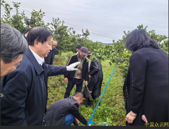QQ截图20260319181241.png